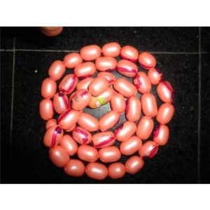 کوکتل مرغ-بوفالو