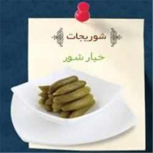 شوریجات صالحی