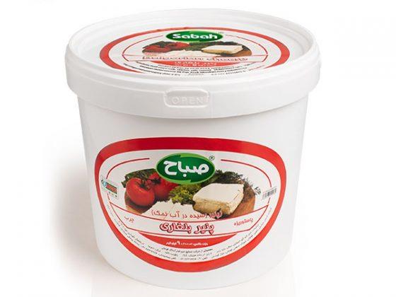 پنیرسطل10ک صباح