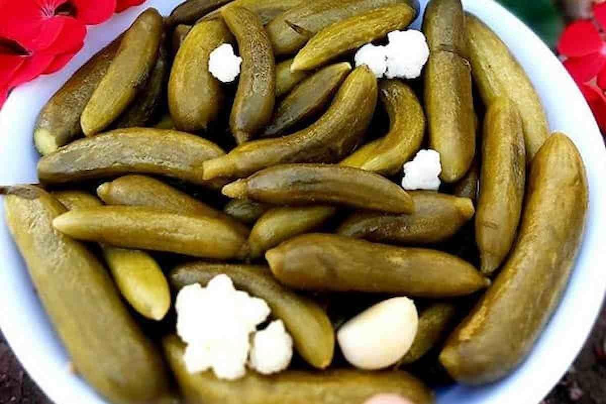 خیارشوردرجه یک حلب3ک صالحی