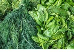 سبزی